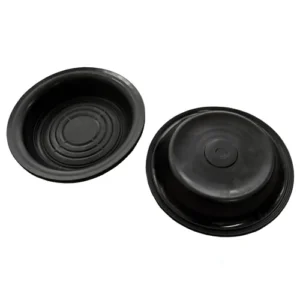 Diaphragm 1