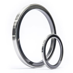 seal rings 1